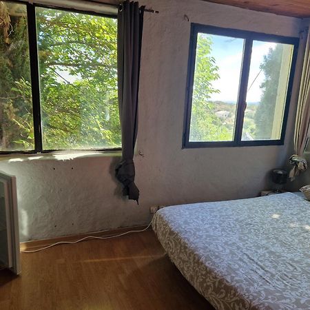 Chambre D'Hote Dans Ancien Musee Bidon Εξωτερικό φωτογραφία